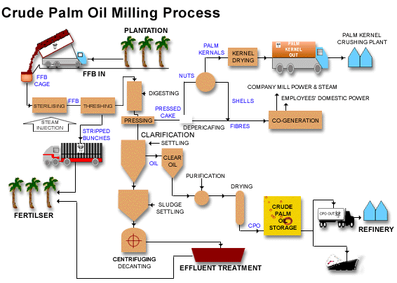 Palm Oil Processing 