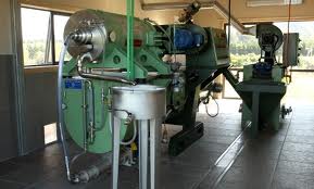 olive oil processing